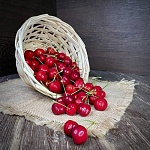 Вишня