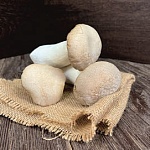 Грибы Еринги 200 г