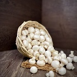 Грибы шампиньоны мини