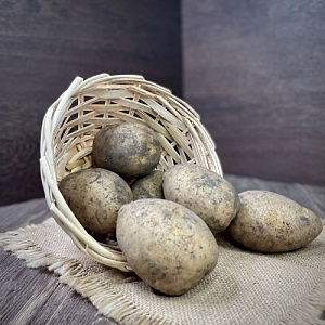 Картофель